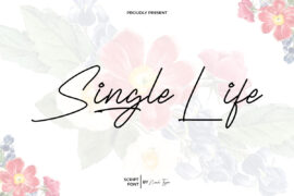 Single Life Demo Font