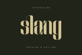 Slang Font