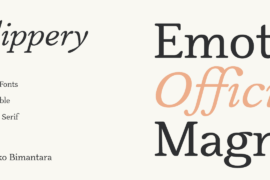 Slippery Trial Font Family