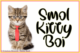 Smol Kitty Boi Font