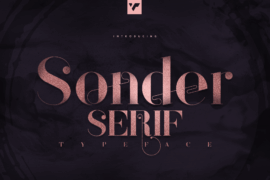 Sonder VP Demo Font