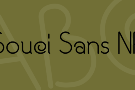 Souci Sans NF Font