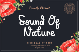Sound Of Nature Font