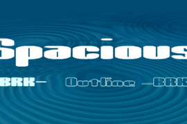 Spacious Font Family