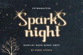 Spark Night Demo Font Family