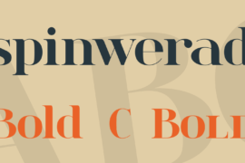 spinwerad Font Family