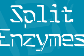 Split Enzymes Font