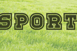 Sport Font Family