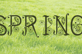 Spring Font