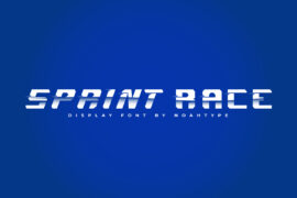 Sprint Race Demo Font Family