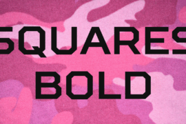 Squares Bold Font