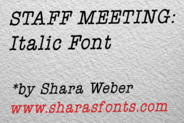 StaffMeetingPlainItalic Font
