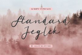 Standard Jeglek Demo Version Font