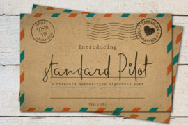 standard pilot demo Font
