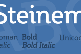 Steinem Font Family
