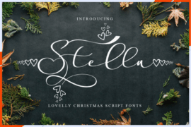 Stella Calligraphy Font