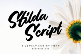 Stilda Script Font