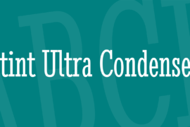 Stint Ultra Condensed Font