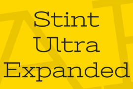 Stint Ultra Expanded Font