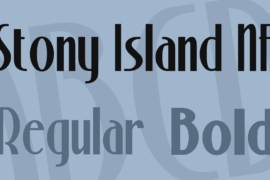 Stony Island NF Font Family