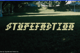 Stupefaction Font