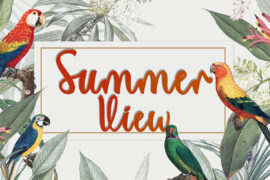 Summer View Font Family
