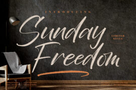 Sunday Freedom Font Family