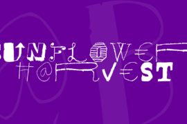 Sunflower Harvest Font