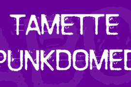 Tamette Punkdomed Font