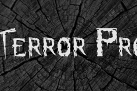 Terror Pro Font