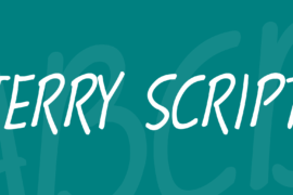 Terry Script Font