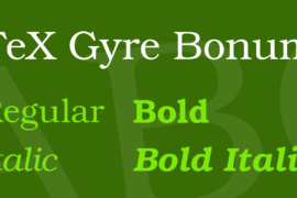 TeX Gyre Bonum Font Family