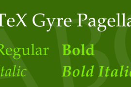 TeX Gyre Pagella Font Family