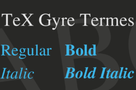 TeX Gyre Termes Font Family
