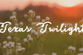Texas Twilight Font