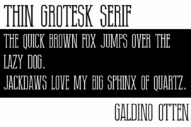 Thin Grotesk Serif Font