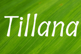 Tillana Font Family