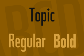 Topic Font Family