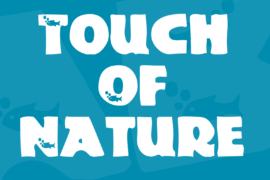 Touch Of Nature Font