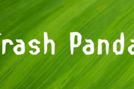 Trash Panda Font