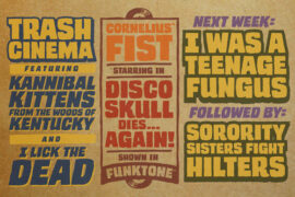 Trash Cinema BB Font Family