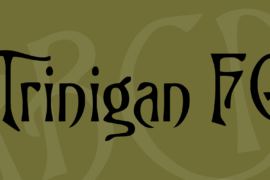 Trinigan FG Font
