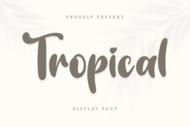 Tropical Display – Personal Use Font