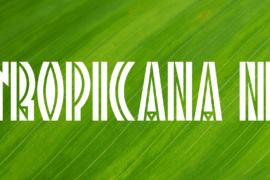 Tropicana NF Font