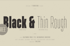 TT Directors DEMO Font Family