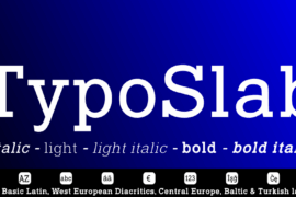 Typo Slab Font Family