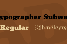 Typographer Subway Font Family