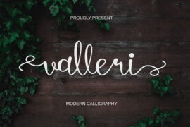 valleri – Personal Use Font