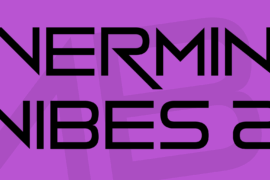 Vermin Vibes 2 Font