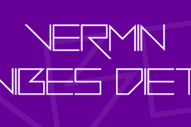 Vermin Vibes Diet Font